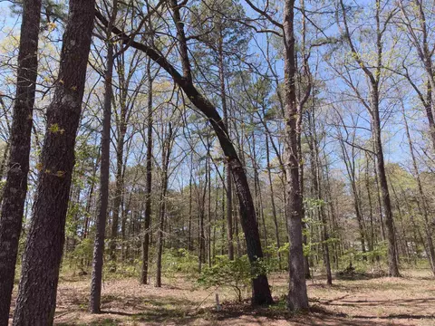 View/Area - 20 Cardinal Ln, Quitman, AR 72131 photo 1 of 1