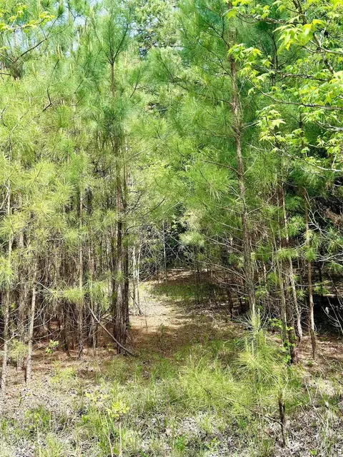 270 Rambo Loop, Searcy, AR 72143 photo 10