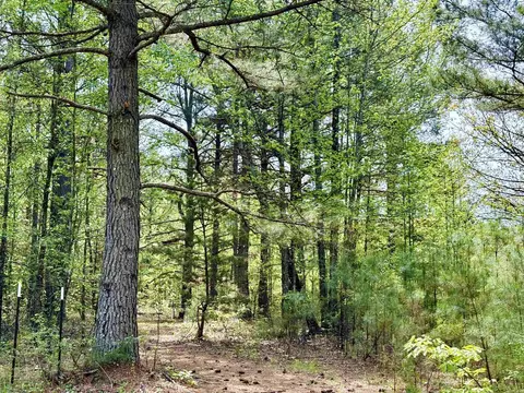 270 Rambo Loop, Searcy, AR 72143 photo 6