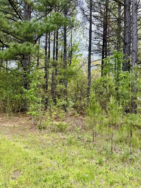 270 Rambo Loop, Searcy, AR 72143 photo 8