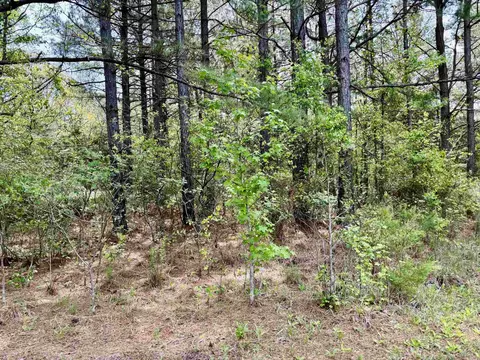 270 Rambo Loop, Searcy, AR 72143 photo 9