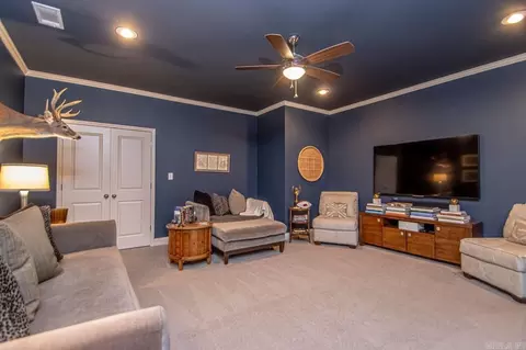 Bedroom - 6113 Pierce Manse Loop, Benton, AR 72019 photo 7 of 7