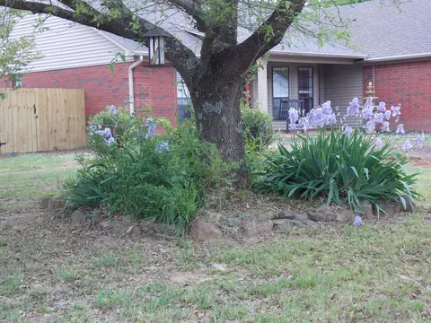 Exterior - 2307 Normandy, Searcy, AR 72143 photo 10 of 12