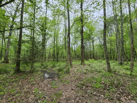 View/Area - 3695 E Highway 88, Sims, AR 71969 photo 3 of 11