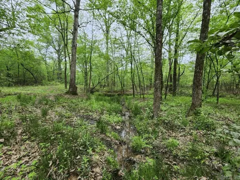 View/Area - 3695 E Highway 88, Sims, AR 71969 photo 4 of 11