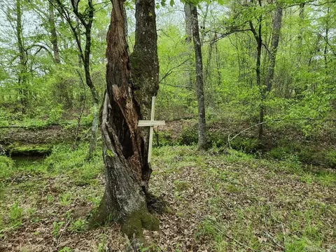 Other - 3695 E Highway 88, Sims, AR 71969 photo 6 of 6