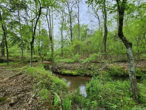 View/Area - 3695 E Highway 88, Sims, AR 71969 photo 10 of 11