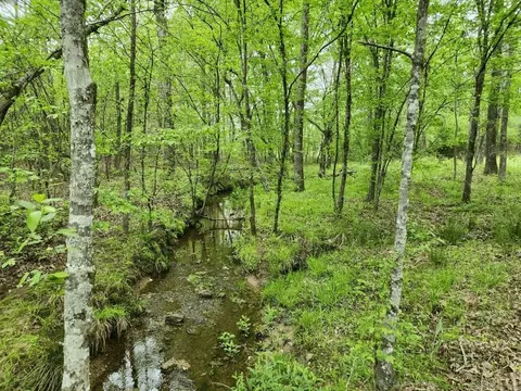 View/Area - 3695 E Highway 88, Sims, AR 71969 photo 11 of 11