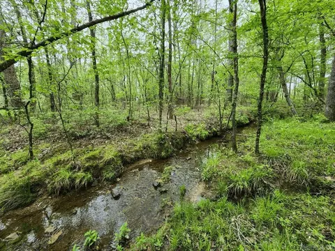 Other - 3695 E Highway 88, Sims, AR 71969 photo 5 of 6