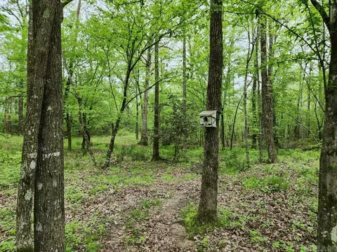 View/Area - 3695 E Highway 88, Sims, AR 71969 photo 1 of 11