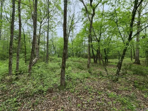View/Area - 3695 E Highway 88, Sims, AR 71969 photo 2 of 11