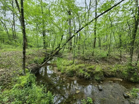 View/Area - 3695 E Highway 88, Sims, AR 71969 photo 5 of 11