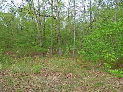 Cochise Road, Cherokee Village, AR 72529