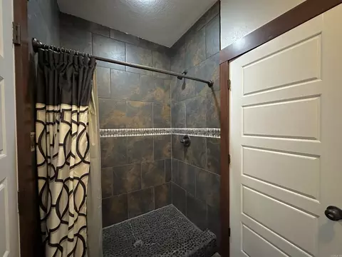 Bath - 233 Brandon Dr, Mountain View, AR 72560 photo 5 of 6