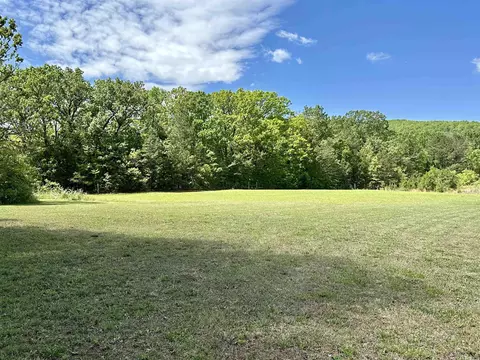 Exterior - 233 Brandon Dr, Mountain View, AR 72560 photo 11 of 14