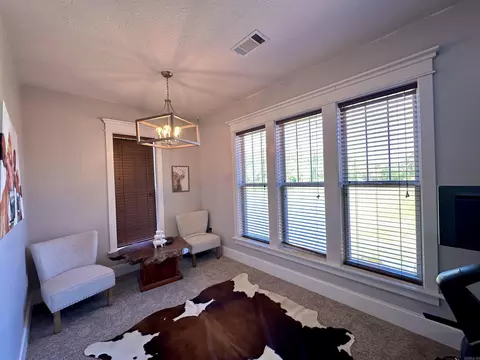 Other - 233 Brandon Dr, Mountain View, AR 72560 photo 5 of 5