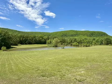 Exterior - 233 Brandon Dr, Mountain View, AR 72560 photo 2 of 14