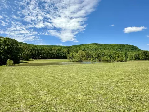 Exterior - 233 Brandon Dr, Mountain View, AR 72560 photo 12 of 14