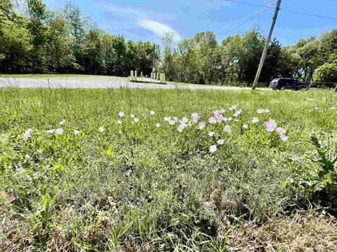 906 Ash Flat Dr, Ash Flat, AR 72513 photo 19