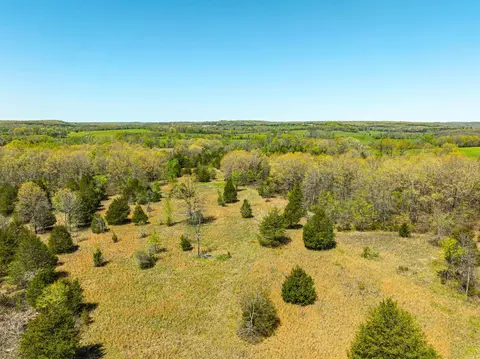 0 Stanfield Rd, Poughkeepsie, AR 72569 photo 18