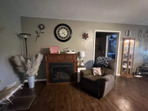 30 Grace Trl, Ash Flat, AR 72513 photo 13