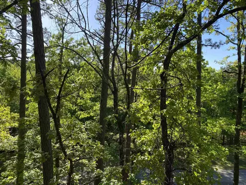 View/Area - 5 Fairview # D, Mount Ida, AR 71957 photo 2 of 2