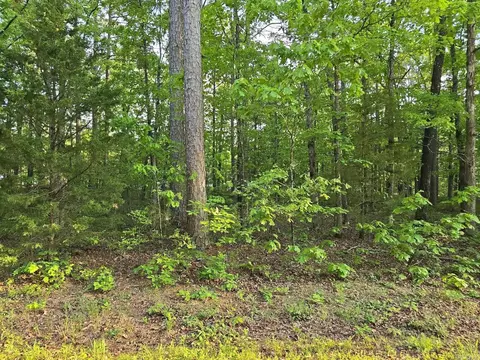00 Mitchell Rd, Higden, AR 72067