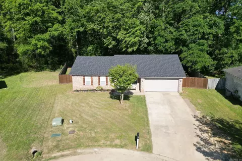 47 Bud Grimes Rd, Ward, AR 72176 photo 24