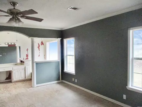 203 Jasmine St, Rison, AR 71665 photo 9