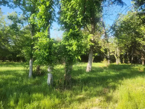 3 Castleberry Lane, Lamar, AR 72846