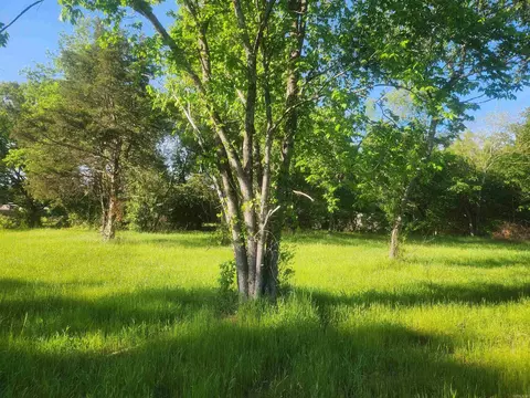 4 Castleberry Lane, Lamar, AR 72846 photo 2