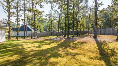 2101 Ferndale Cv, Alexander, AR 72002 photo 15