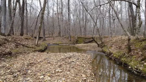 lot213 Cimarron Cv, Benton, AR 72019 photo 28