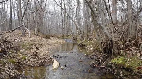 lot213 Cimarron Cv, Benton, AR 72019 photo 27