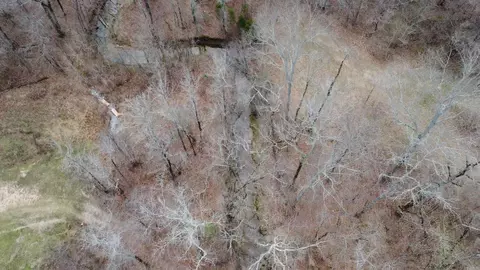 lot213 Cimarron Cv, Benton, AR 72019 photo 29