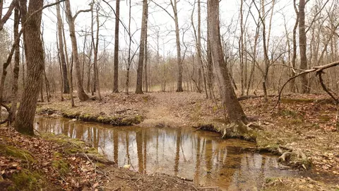 lot213 Cimarron Cv, Benton, AR 72019 photo 26