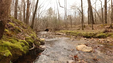 lot213 Cimarron Cv, Benton, AR 72019 photo 22