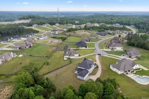 8072 Ironstone Dr, Alexander, AR 72002 photo 46
