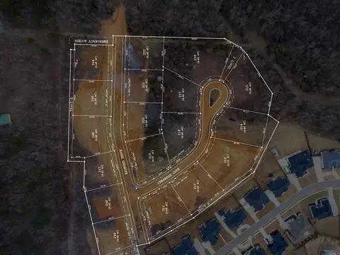 lot219 Cimarron Cv, Benton, AR 72019 photo 3