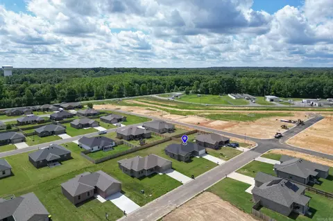 View/Area - 20 Doe Run, Ward, AR 72176 photo 3 of 4