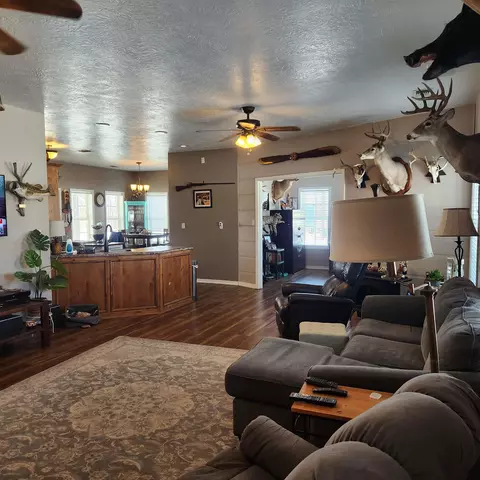 829 Statler Ln, Ash Flat, AR 72513 photo 7