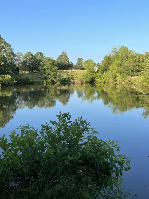 829 Statler Ln, Ash Flat, AR 72513 photo 49