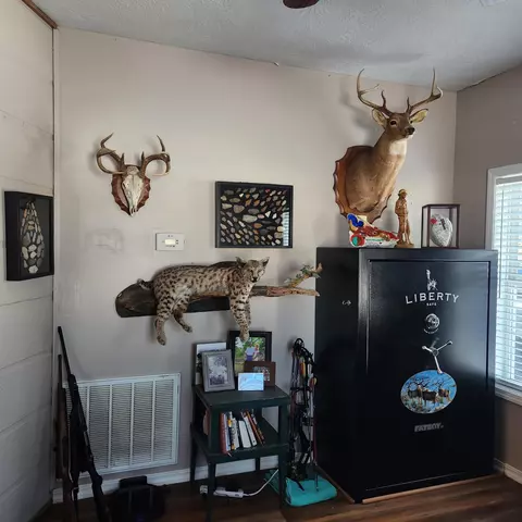 829 Statler Ln, Ash Flat, AR 72513 photo 14
