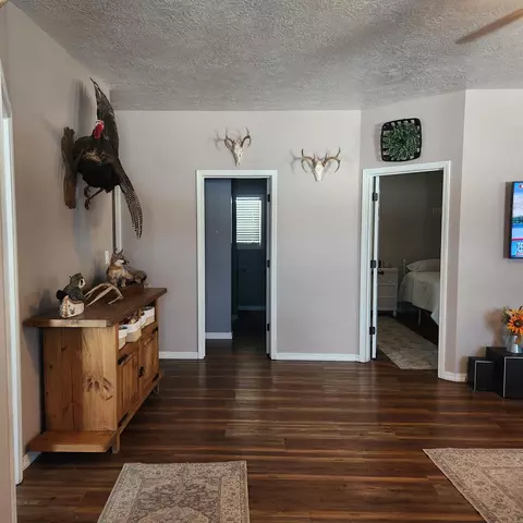 829 Statler Ln, Ash Flat, AR 72513 photo 6