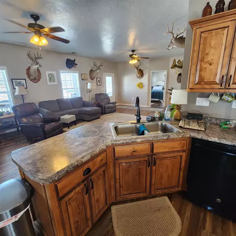 829 Statler Ln, Ash Flat, AR 72513 photo 22