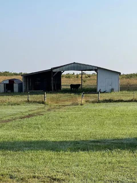 829 Statler Ln, Ash Flat, AR 72513 photo 35