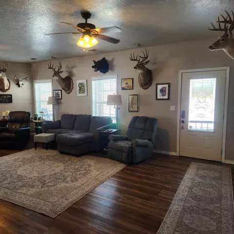 829 Statler Ln, Ash Flat, AR 72513 photo 8