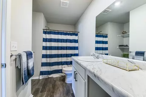 Bath - 60 Kinley Brook Ln, Cabot, AR 72023 photo 2 of 5