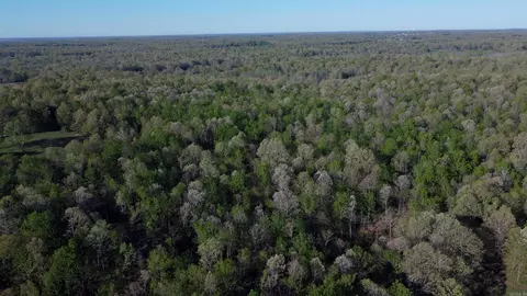 000 Carmickle Rd, Maynard, AR 72444 photo 9