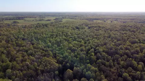000 Carmickle Rd, Maynard, AR 72444 photo 6